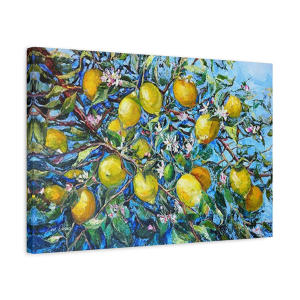 Sorrento Lemons.  Deva Oksana